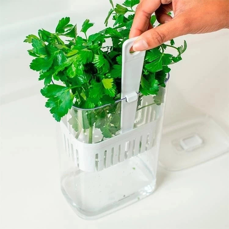 Pote Organizador 3 em 1 para Geladeira – Lave, Escorra e Armazene com Praticidade