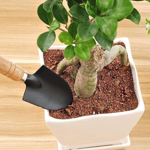 Kit para Jardinagem MestLar