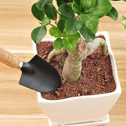 Kit para Jardinagem MestLar